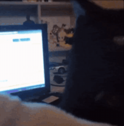 A Black Cat Is Sitting In Front Of A Computer Screen GIF