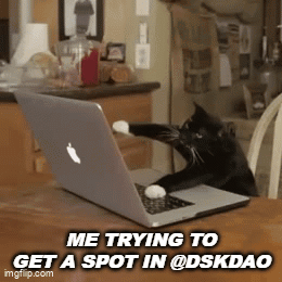 A Black Cat Is Sitting In Front Of A Laptop With The Caption " Me Trying To Get A Spot In @Dskdao " GIF