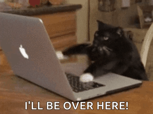 A Black Cat Is Sitting In Front Of An Apple Laptop Computer . GIF