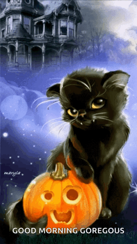 A Black Cat Is Sitting Next To A Pumpkin With A Face Carved Into It And Says Good Morning Goregous GIF