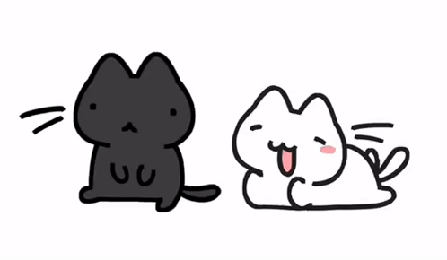 A Black Cat Is Sitting Next To A White Cat GIF