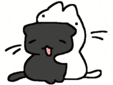 A Black Cat Is Sitting Next To A White Cat GIF