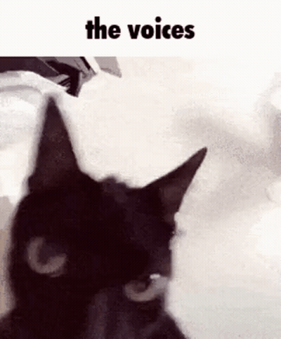 A Black Cat Is Sitting On A Bed With The Words `` The Voices '' Written Above It . GIF
