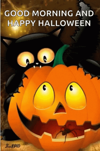 A Black Cat Is Sitting On A Halloween Pumpkin GIF