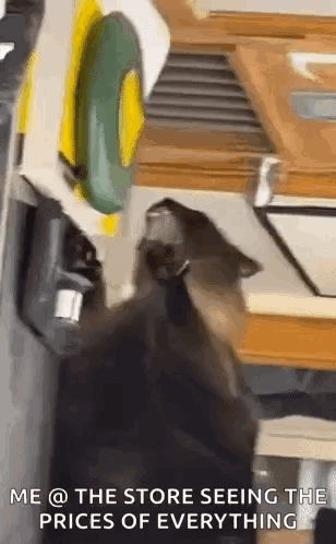 A Black Cat Is Sitting On A Table In Front Of A Mcdonald 'S . GIF