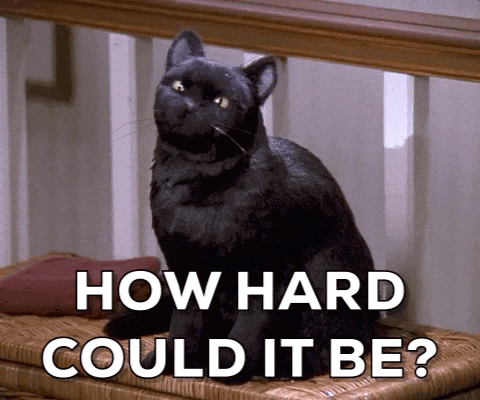 A Black Cat Is Sitting On A Wicker Bench With The Words How Hard Could It Be Written Below It GIF