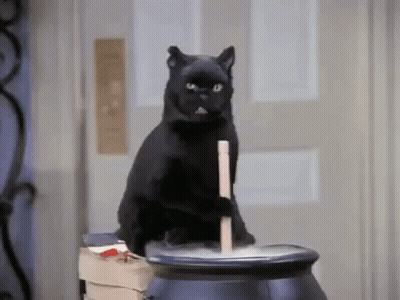 A Black Cat Is Sitting On Top Of A Black Cauldron . GIF