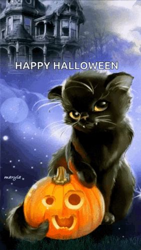 A Black Cat Is Sitting On Top Of A Carved Pumpkin With The Words Happy Halloween Written Below It GIF