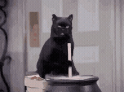 A Black Cat Is Sitting On Top Of A Cauldron Holding A Stick . GIF