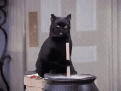 A Black Cat Is Sitting On Top Of A Cauldron With A Candle In Its Mouth . GIF