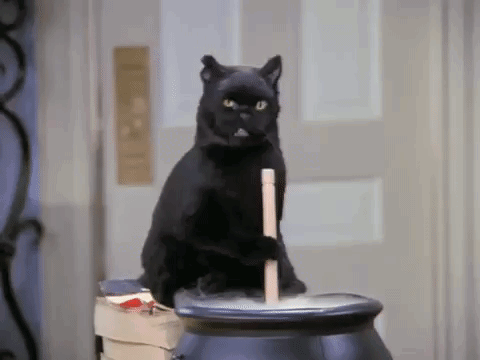 A Black Cat Is Sitting On Top Of A Cauldron With A Wooden Stick In It . GIF