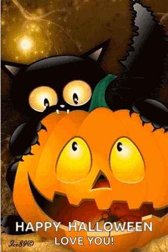 A Black Cat Is Sitting On Top Of A Halloween Pumpkin . GIF