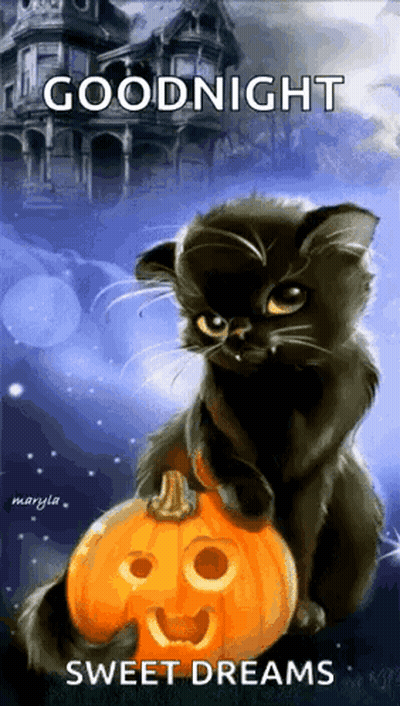 A Black Cat Is Sitting On Top Of A Pumpkin With A Face On It . GIF