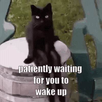 A Black Cat Is Sitting On Top Of A Wooden Bucket . GIF