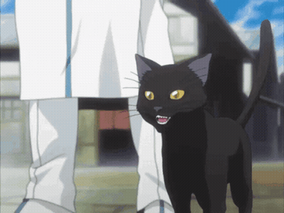 A Black Cat Is Standing Next To A Person In White Pants GIF