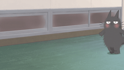 A Black Cat Is Standing On A Green Floor In Front Of A Wall GIF