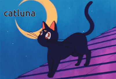 A Black Cat Is Standing On A Roof With A Crescent Moon In The Background GIF