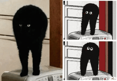 A Black Cat Is Standing On A Washing Machine GIF