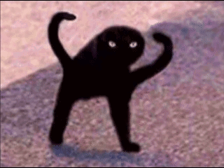A Black Cat Is Standing On Its Hind Legs On A Purple Surface . GIF