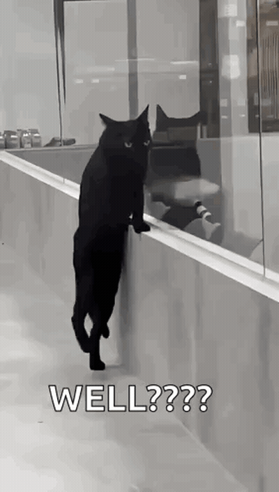 A Black Cat Is Standing On Its Hind Legs On A Railing And Looking Out Of A Window . GIF