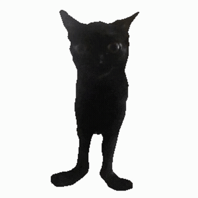 A Black Cat Is Standing On Its Hind Legs With A White Background GIF