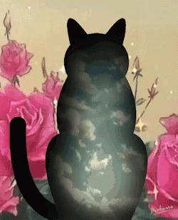 A Black Cat Is Surrounded By Pink Roses GIF