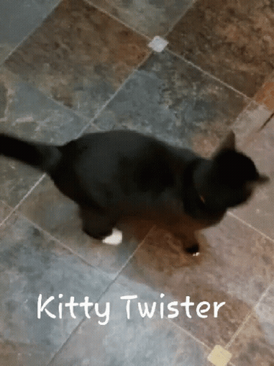 A Black Cat Is Walking On A Tiled Floor With The Words Kitty Twister Written On The Bottom GIF