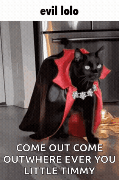 A Black Cat Is Wearing A Red Cape And A Necklace GIF