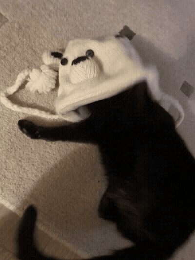 A Black Cat Is Wearing A White Hat With Ears On It GIF