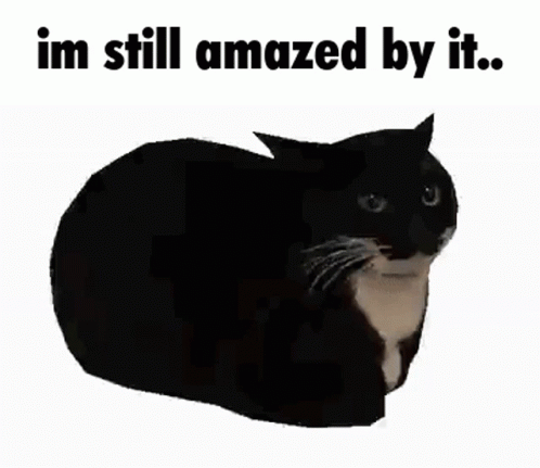 A Black Cat Laying Down With The Words " Im Still Amazed By It " Above It GIF