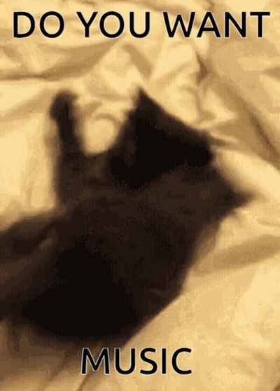 A Black Cat Laying On A Bed With The Words " Do You Want Music " Above It GIF