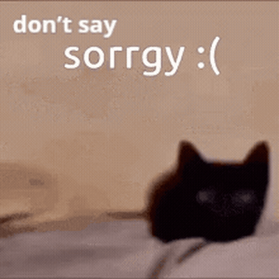 A Black Cat Laying On A Bed With The Words " Don 'T Say Sorry " GIF