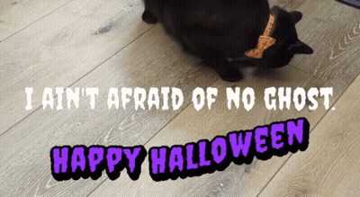 A Black Cat Laying On A Wooden Floor With The Words " I Ain 'T Afraid Of No Ghost " GIF