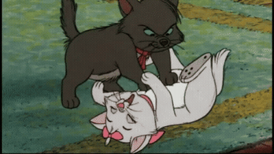 A Black Cat Laying On Top Of A White Cat With A Pink Bow GIF
