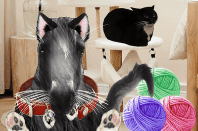 A Black Cat Sitting On A Cat Tree With Balls Of Yarn GIF