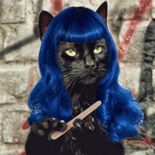 A Black Cat Wearing A Blue Wig Holds A Nail File GIF