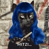 A Black Cat Wearing A Blue Wig Is Holding A Brush And Says Mitzi . GIF