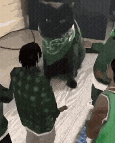 A Black Cat Wearing A Green Bandana Is Surrounded By People GIF