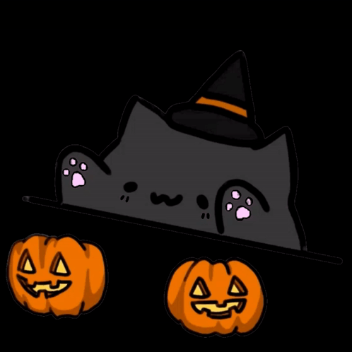 A Black Cat Wearing A Witch Hat Is Holding Pumpkins GIF