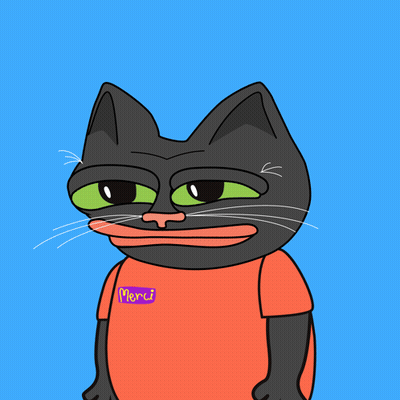 A Black Cat Wearing An Orange Shirt That Says Merci On It GIF
