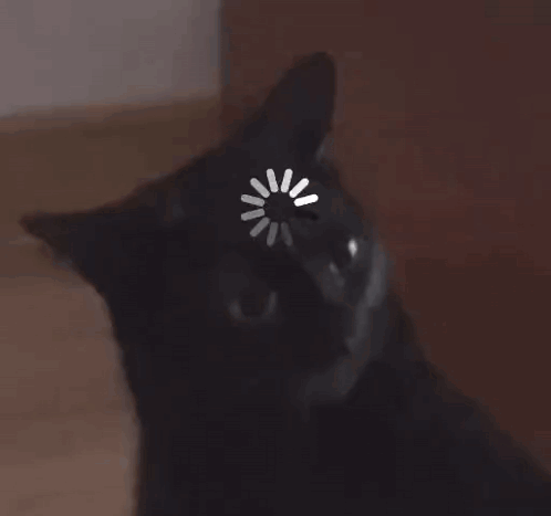 A Black Cat With A Loading Circle On Its Head GIF