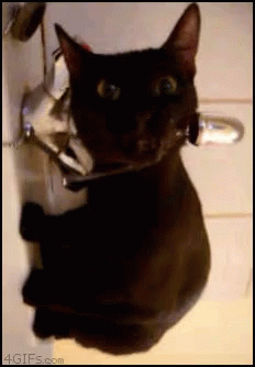 A Black Cat With A Toothbrush In Its Mouth Is Hanging On A Door GIF