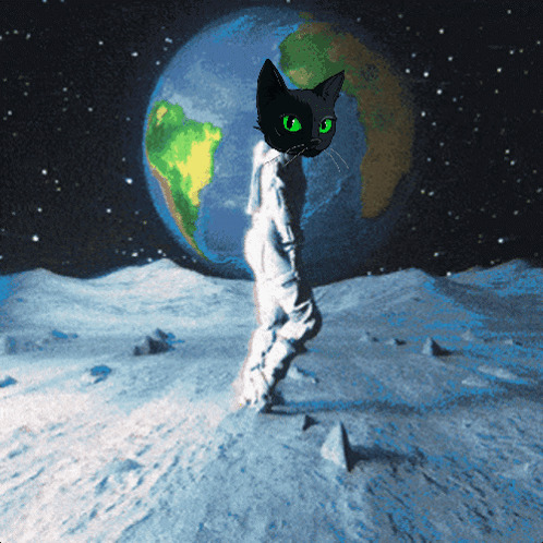 A Black Cat With Green Eyes Is Standing On The Moon In Front Of A Globe GIF