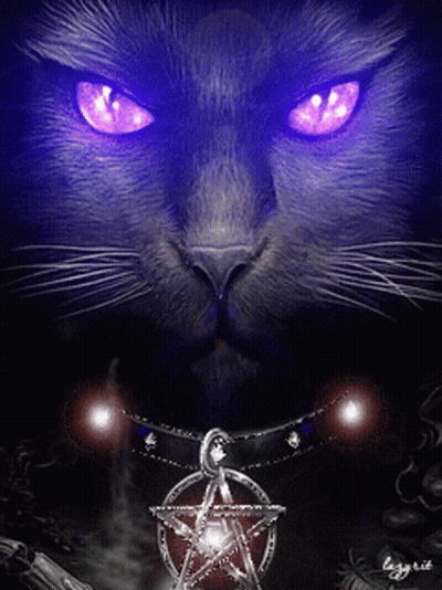 A Black Cat With Purple Eyes Is Holding A Pentagram Necklace GIF