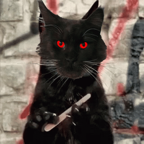 A Black Cat With Red Eyes Is Holding A Nail File In Its Paws GIF