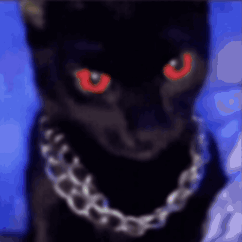 A Black Cat With Red Eyes Is Wearing A Chain Around Its Neck GIF