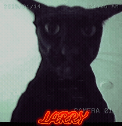 A Black Cat With The Name Larry Written In Red GIF