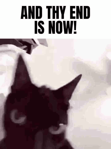 A Black Cat With The Words `` And Thy End Is Now '' Written Above It . GIF