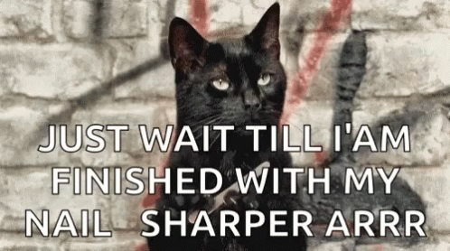 A Black Cat With The Words Just Wait Till I Am Finished With My Nail Sharper Arrr On The Bottom GIF