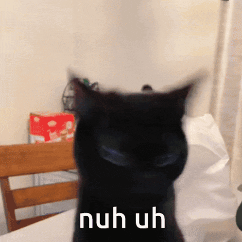 A Black Cat With The Words Nuh Uh Written Above It GIF
